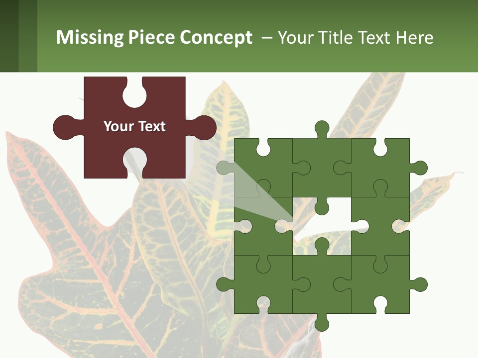 Indoor Plant PowerPoint Template