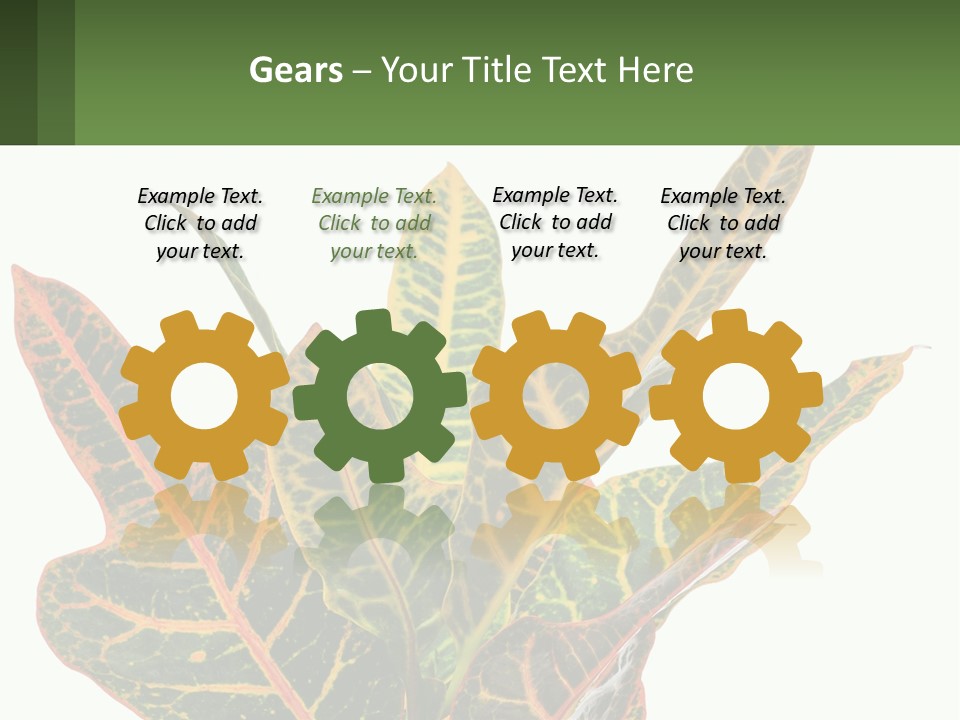 Indoor Plant PowerPoint Template