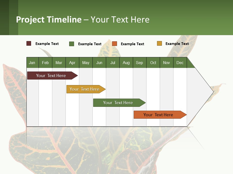 Indoor Plant PowerPoint Template
