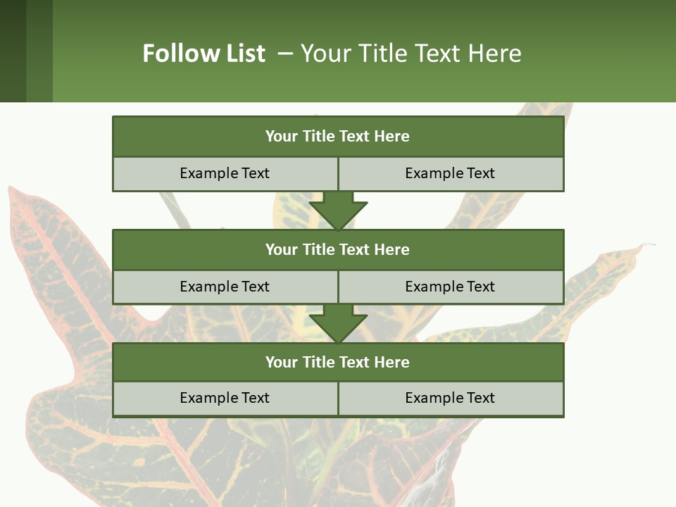 Indoor Plant PowerPoint Template