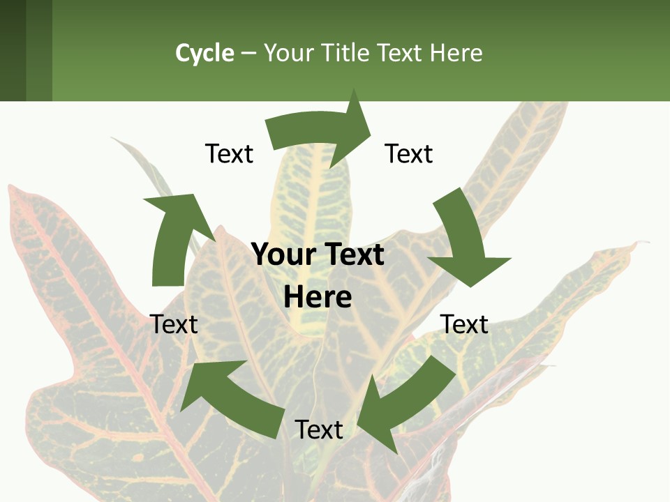 Indoor Plant PowerPoint Template