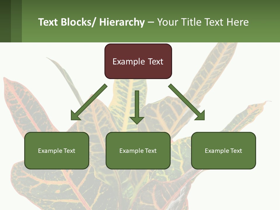 Indoor Plant PowerPoint Template