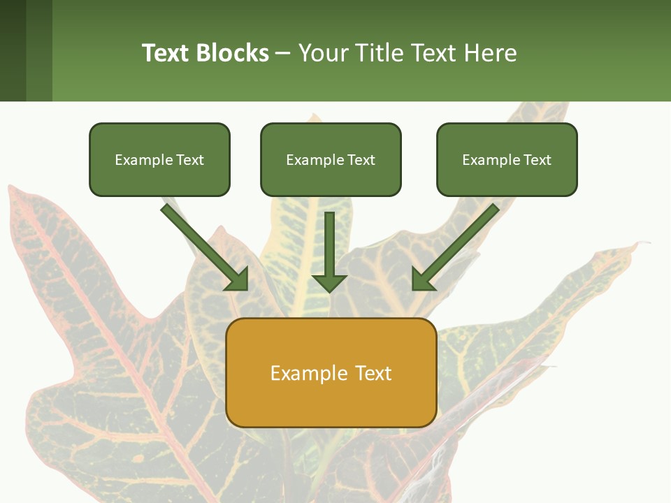 Indoor Plant PowerPoint Template