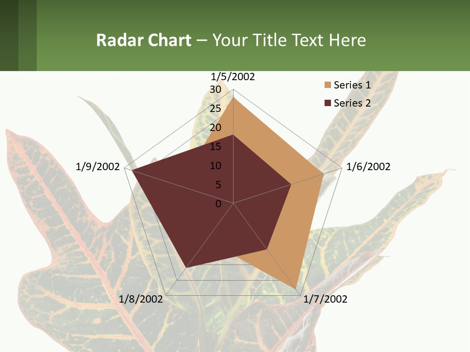 Indoor Plant PowerPoint Template