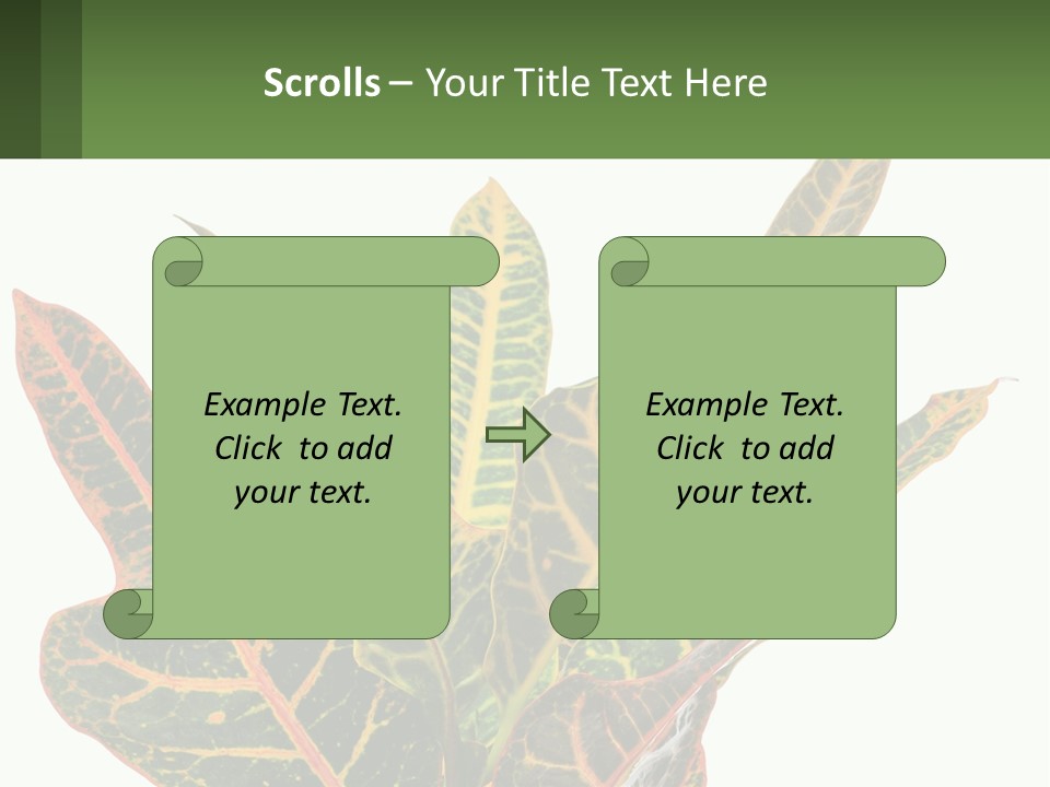 Indoor Plant PowerPoint Template
