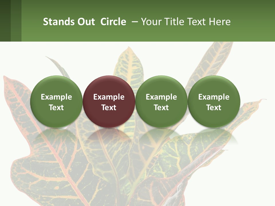 Indoor Plant PowerPoint Template