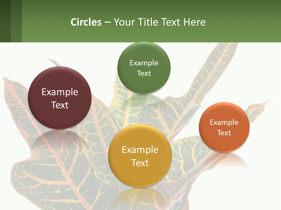 Indoor Plant PowerPoint Template