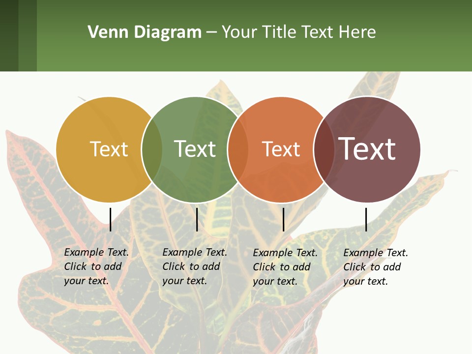 Indoor Plant PowerPoint Template