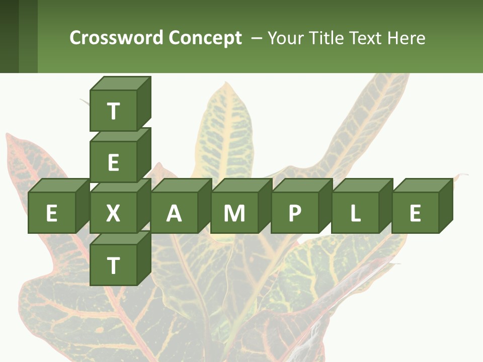 Indoor Plant PowerPoint Template