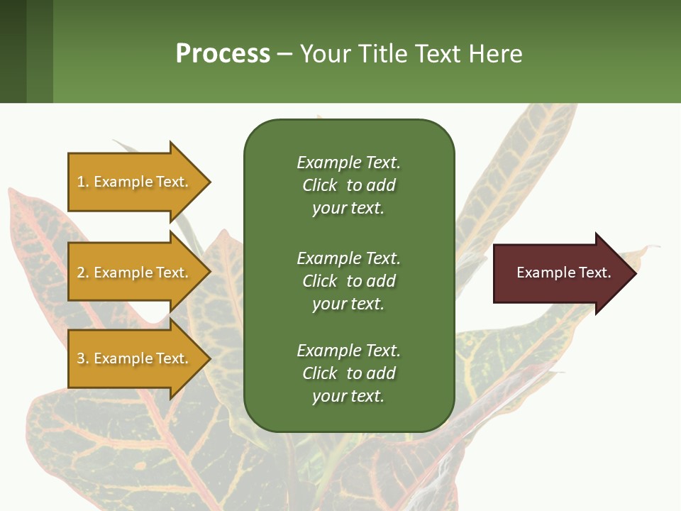 Indoor Plant PowerPoint Template