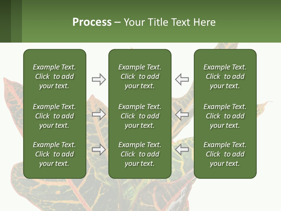 Indoor Plant PowerPoint Template