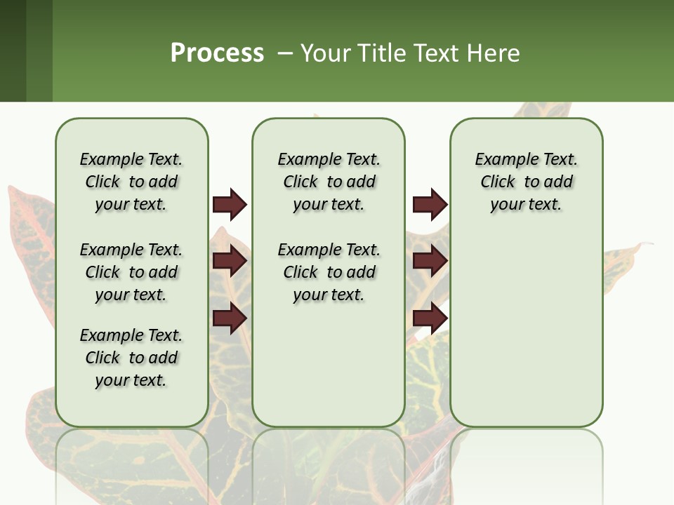 Indoor Plant PowerPoint Template