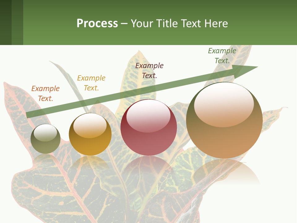 Indoor Plant PowerPoint Template