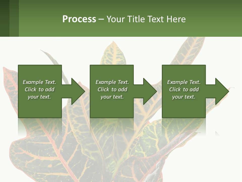 Indoor Plant PowerPoint Template