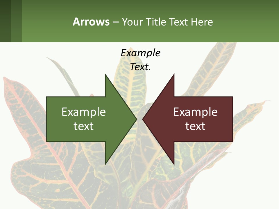 Indoor Plant PowerPoint Template