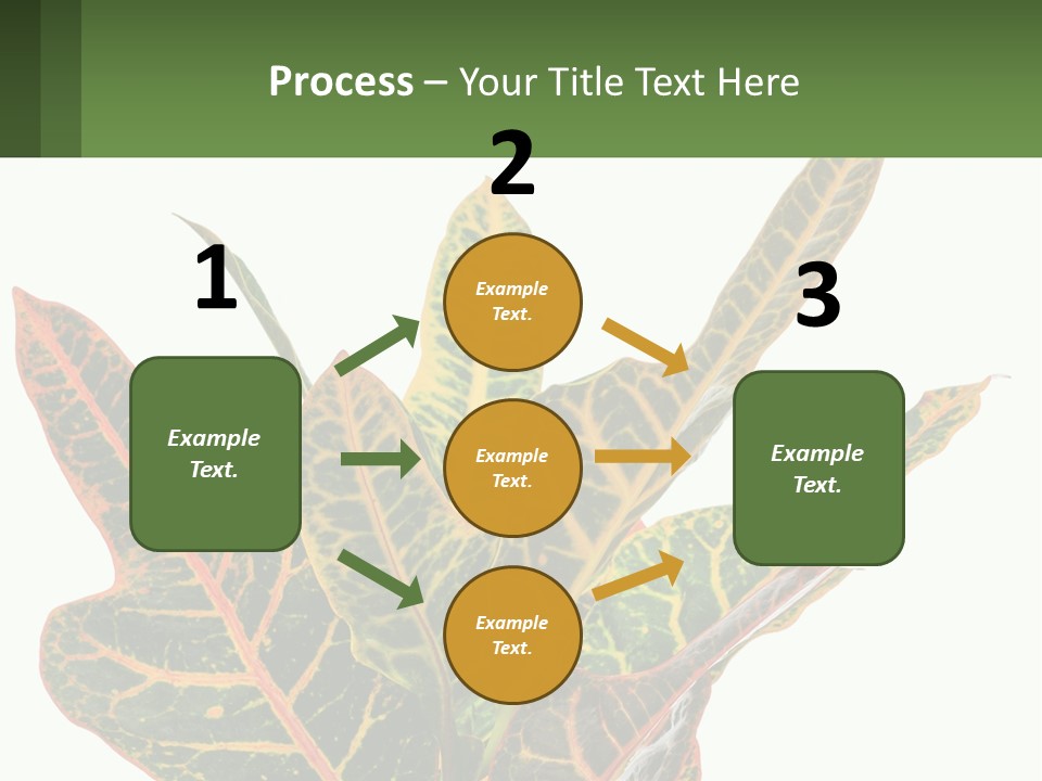 Indoor Plant PowerPoint Template