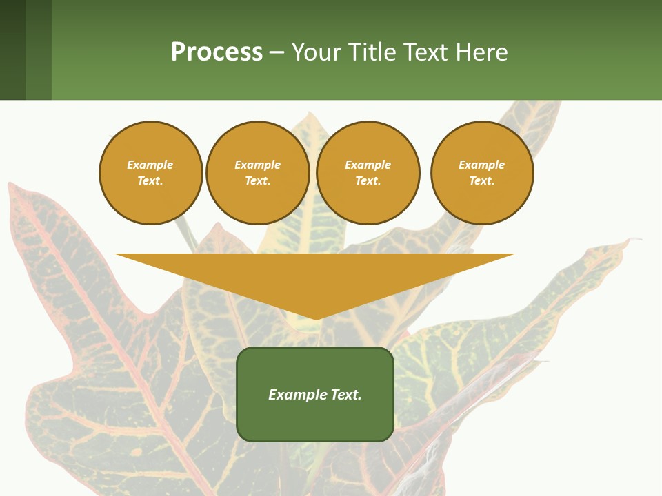 Indoor Plant PowerPoint Template