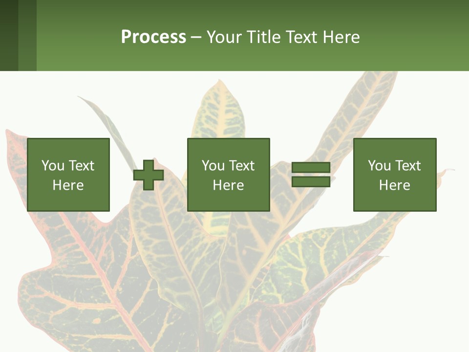 Indoor Plant PowerPoint Template