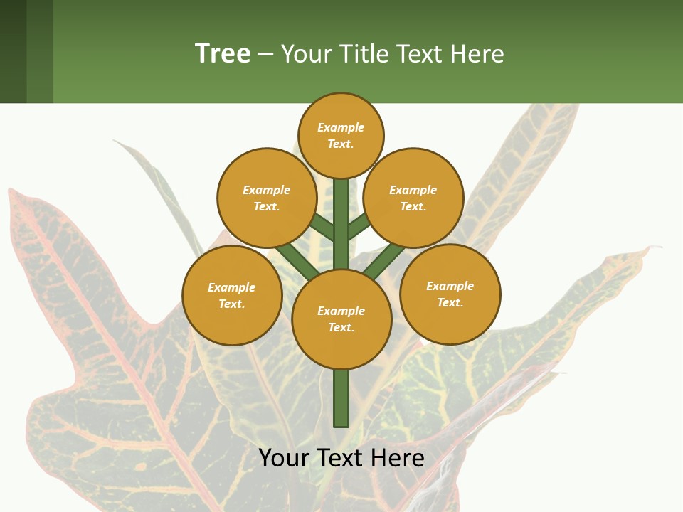 Indoor Plant PowerPoint Template