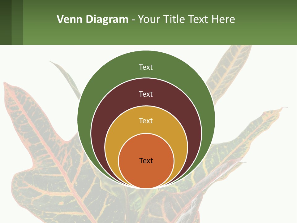 Indoor Plant PowerPoint Template