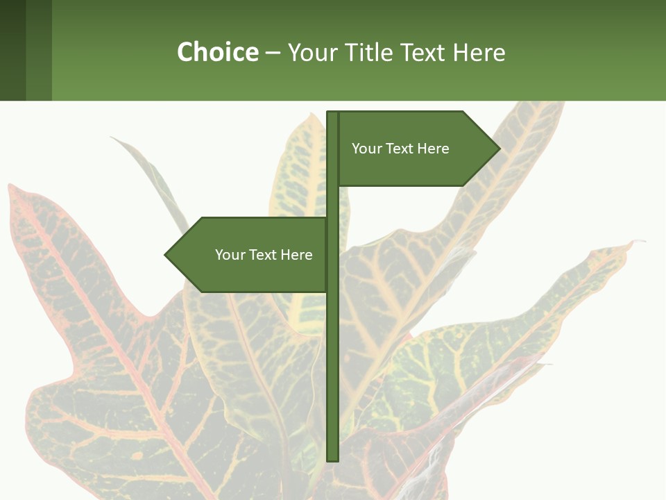 Indoor Plant PowerPoint Template