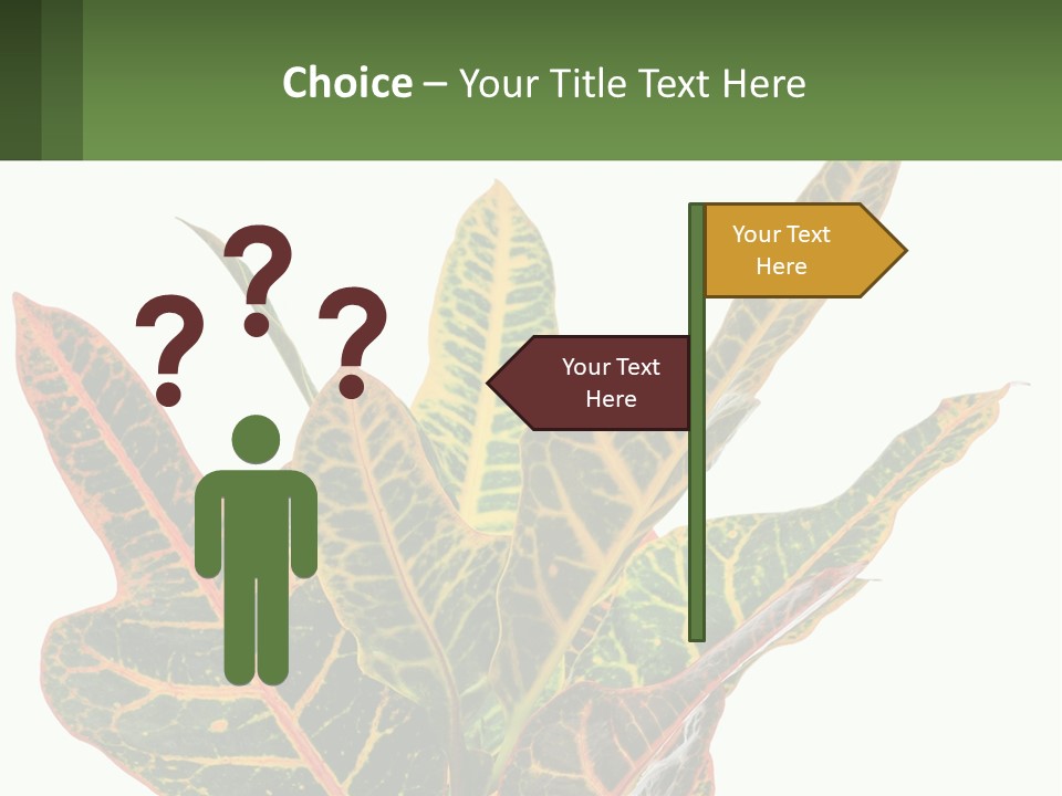 Indoor Plant PowerPoint Template