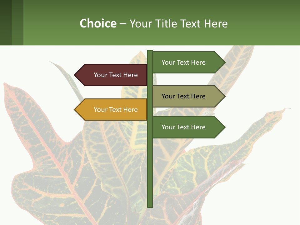 Indoor Plant PowerPoint Template