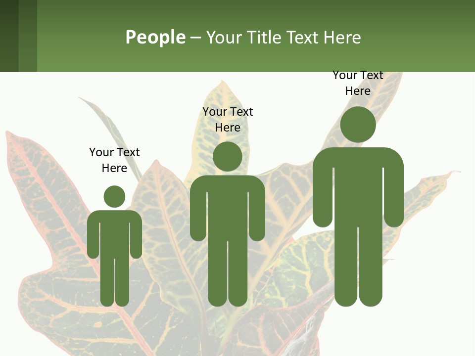 Indoor Plant PowerPoint Template