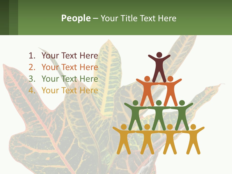 Indoor Plant PowerPoint Template