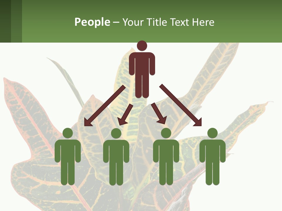 Indoor Plant PowerPoint Template