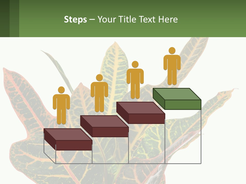 Indoor Plant PowerPoint Template