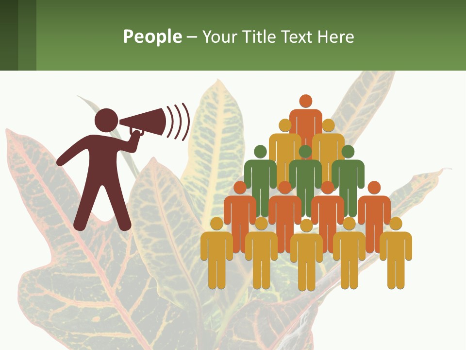 Indoor Plant PowerPoint Template