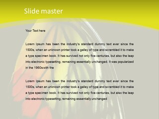 Butterfly PowerPoint Template