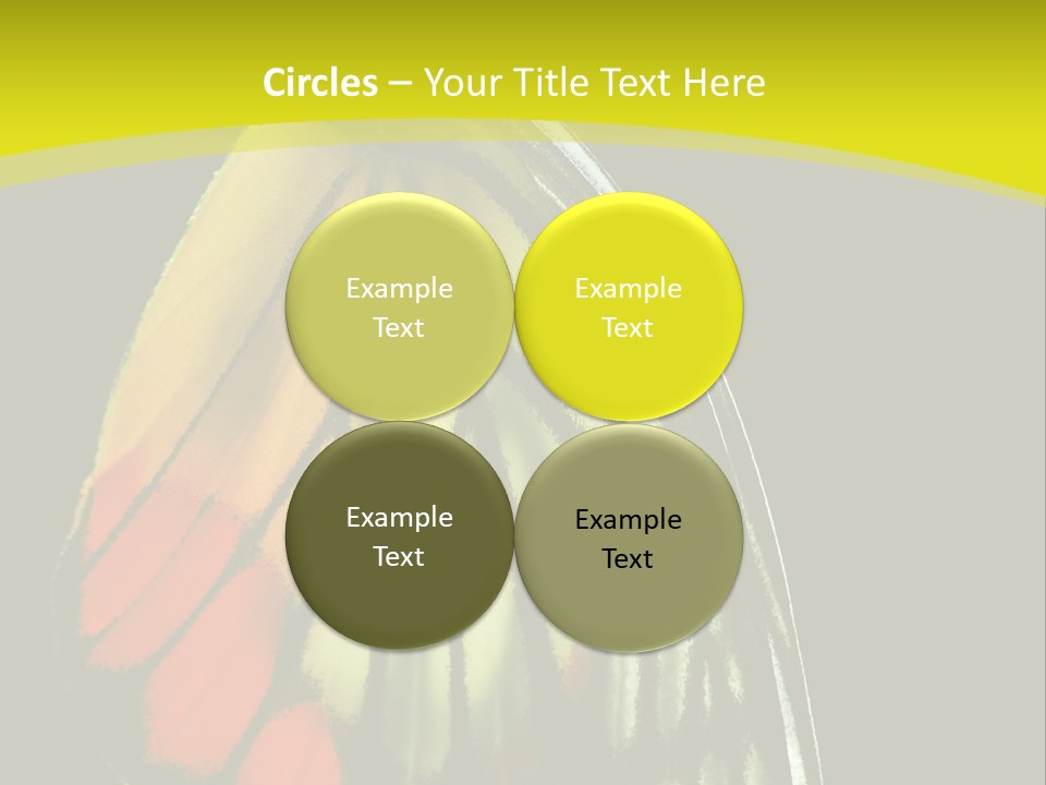 Butterfly PowerPoint Template