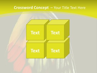 Butterfly PowerPoint Template