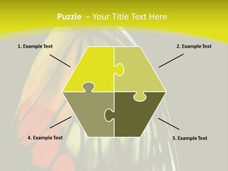 Butterfly PowerPoint Template