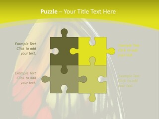 Butterfly PowerPoint Template