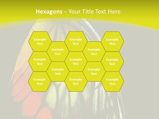 Butterfly PowerPoint Template