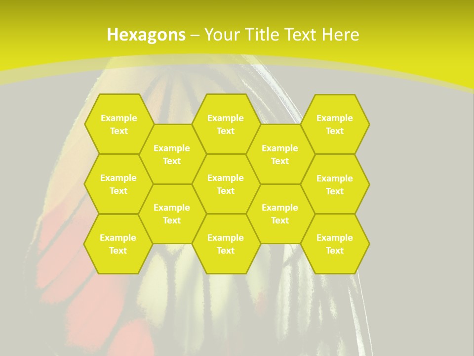 Butterfly PowerPoint Template