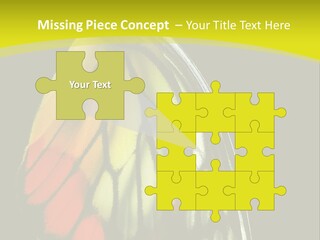 Butterfly PowerPoint Template
