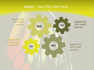 Butterfly PowerPoint Template