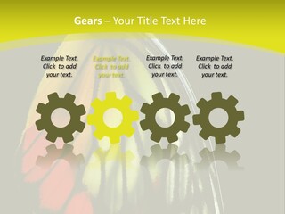 Butterfly PowerPoint Template