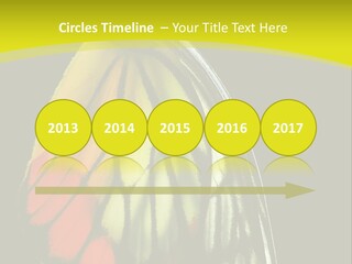 Butterfly PowerPoint Template
