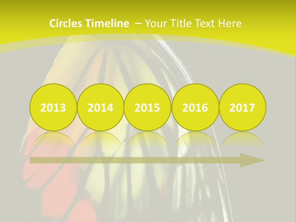 Butterfly PowerPoint Template