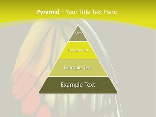 Butterfly PowerPoint Template