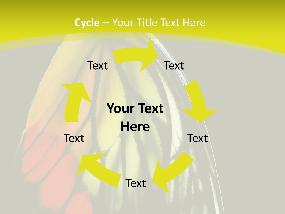 Butterfly PowerPoint Template