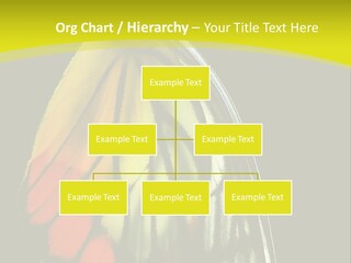 Butterfly PowerPoint Template