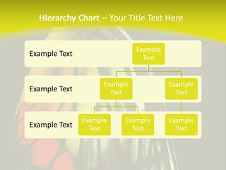 Butterfly PowerPoint Template