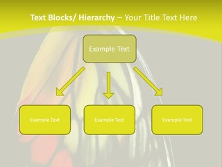 Butterfly PowerPoint Template