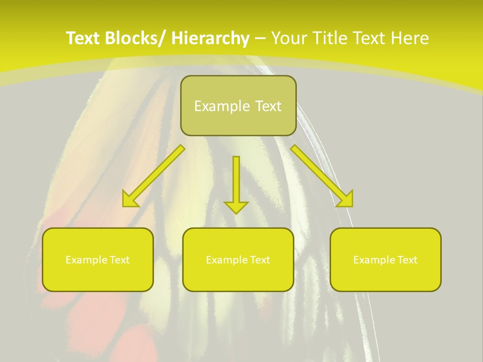 Butterfly PowerPoint Template